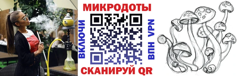 где можно купить   Ряжск  Псилоцибиновые грибы Cubensis 