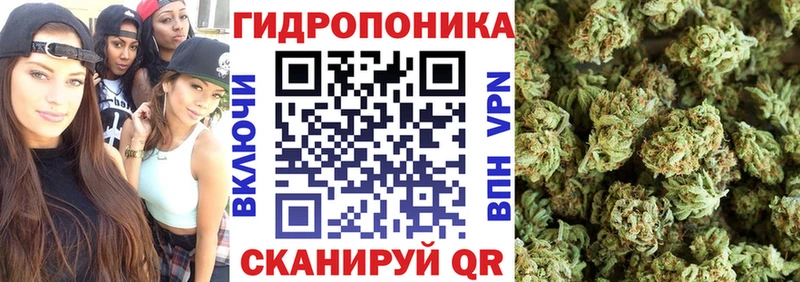 Канабис VHQ  это наркотические препараты  Ряжск 